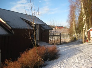 Norway Winter 004